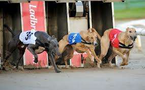 Crayford Dogs - fund raising event