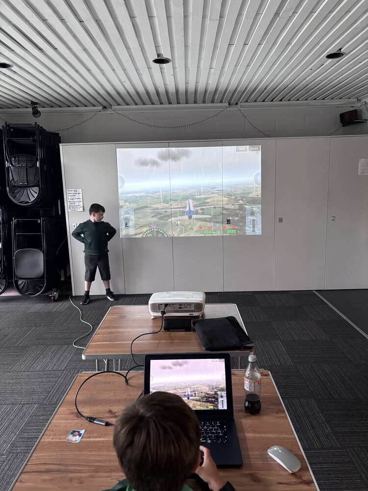 Cubs do Flight Simulator