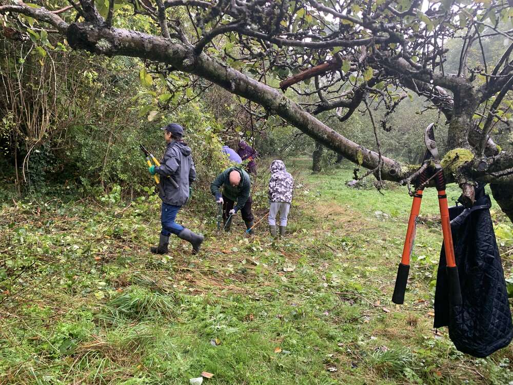 Group helps Woodland group