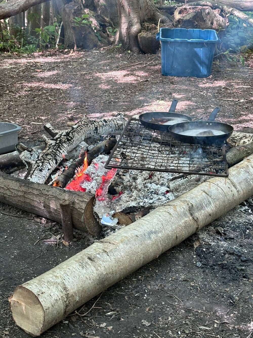 Scouts Skills Camp
