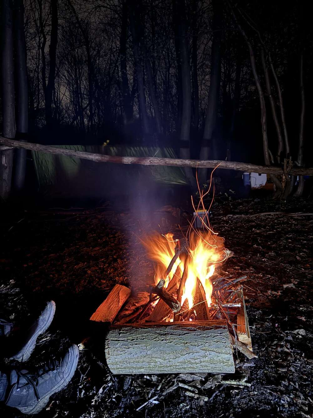 Scouts Sprint Camp 2024